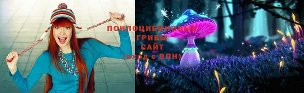 кокс Абинск