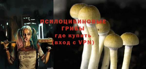 кокс Абаза