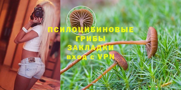 mdpv Абдулино