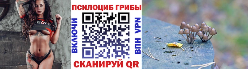 Галлюциногенные грибы Psilocybe  закладка  Таганрог 
