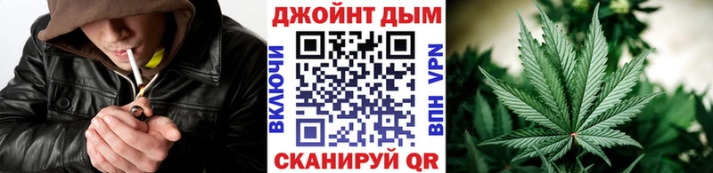 Каннабис сатива Таганрог